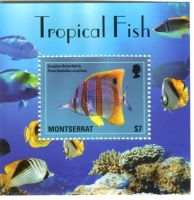 Block "Fische". Montserrat.