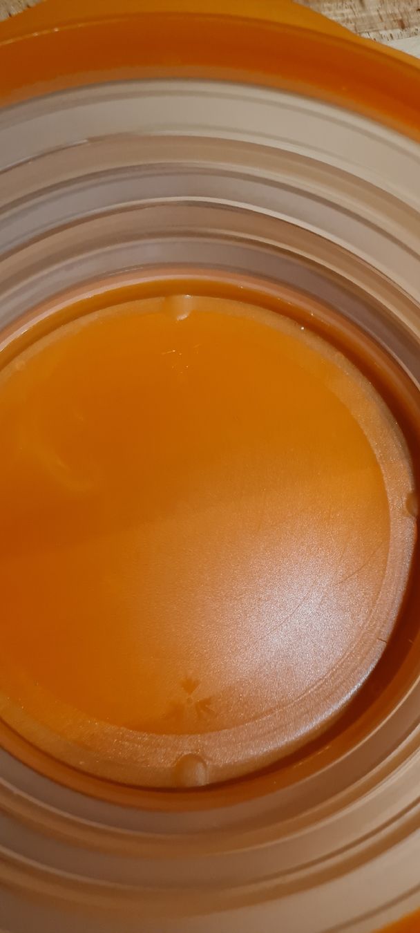 Tupperware Contenitori & Simili: Tupperware Schüssel faltbar Orange - neu – Nuovo (secondo la descrizione) da Münsingen venduto da Cuci31 1