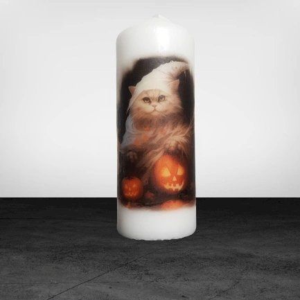 BENECREAT 4x Acryl Vorlagen Halloween - Kürbis & Fledermaus Motive 20,3x14cm