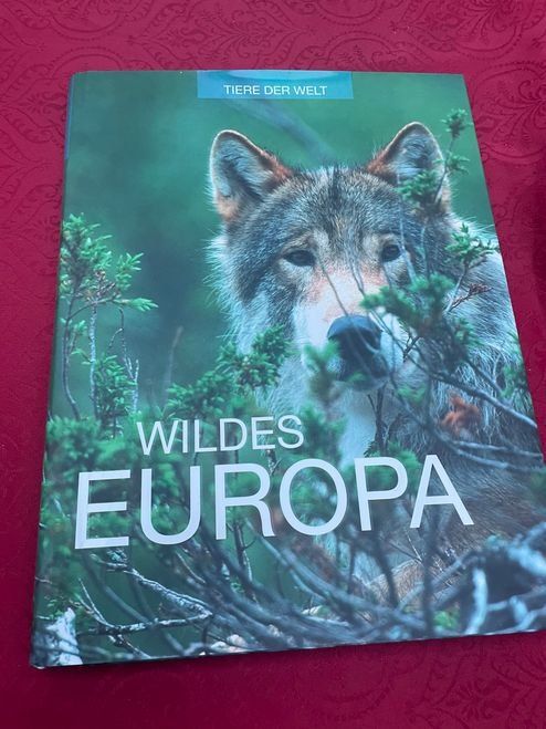 Libri: Wildes Europa - Tiere der Welt – Nuovo (secondo la descrizione) da Bergdietikon venduto da Book-4-you_2nd