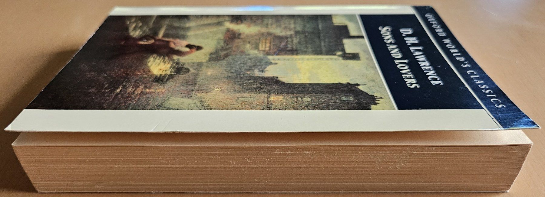 Libri: D.H. Lawrence: Sons and Lovers – Usato da Schaffhausen venduto da brickenthusiast 2