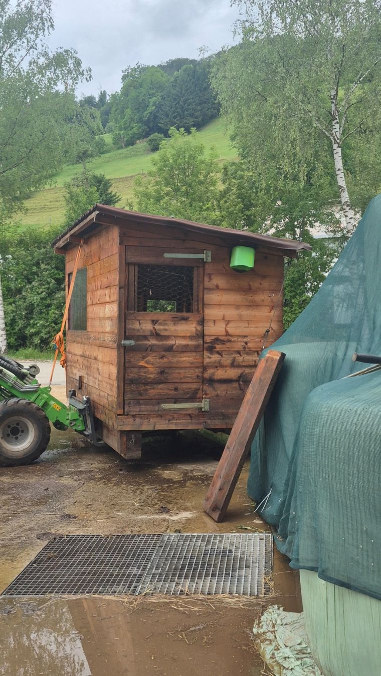 Cages, transport & sécurité: Hühnerstall – D'occasion à Wintersingen par -71- 5