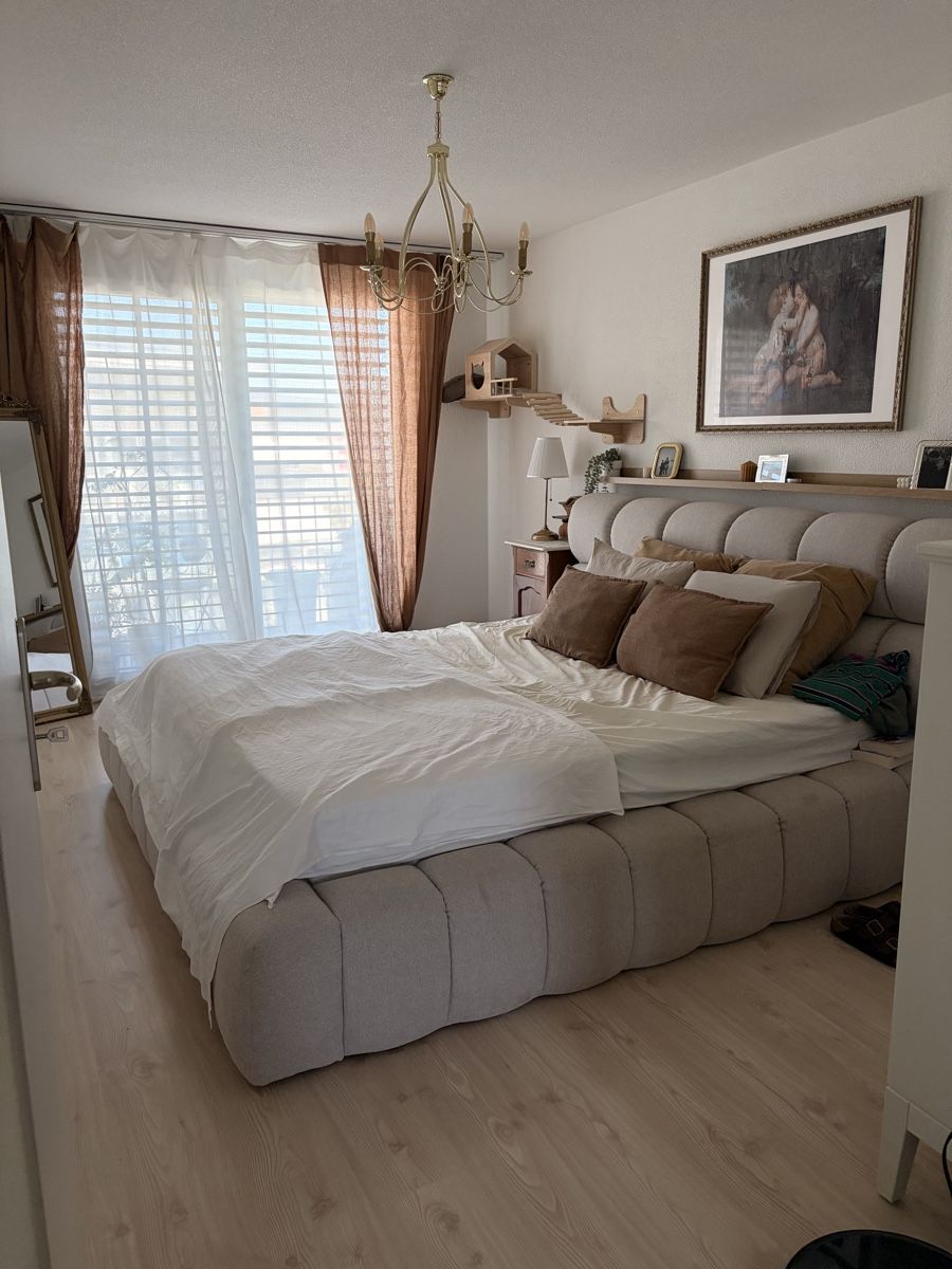 Conforama Letti: Bett 180x200 – Usato da Winterthur venduto da emi_cgg7 3