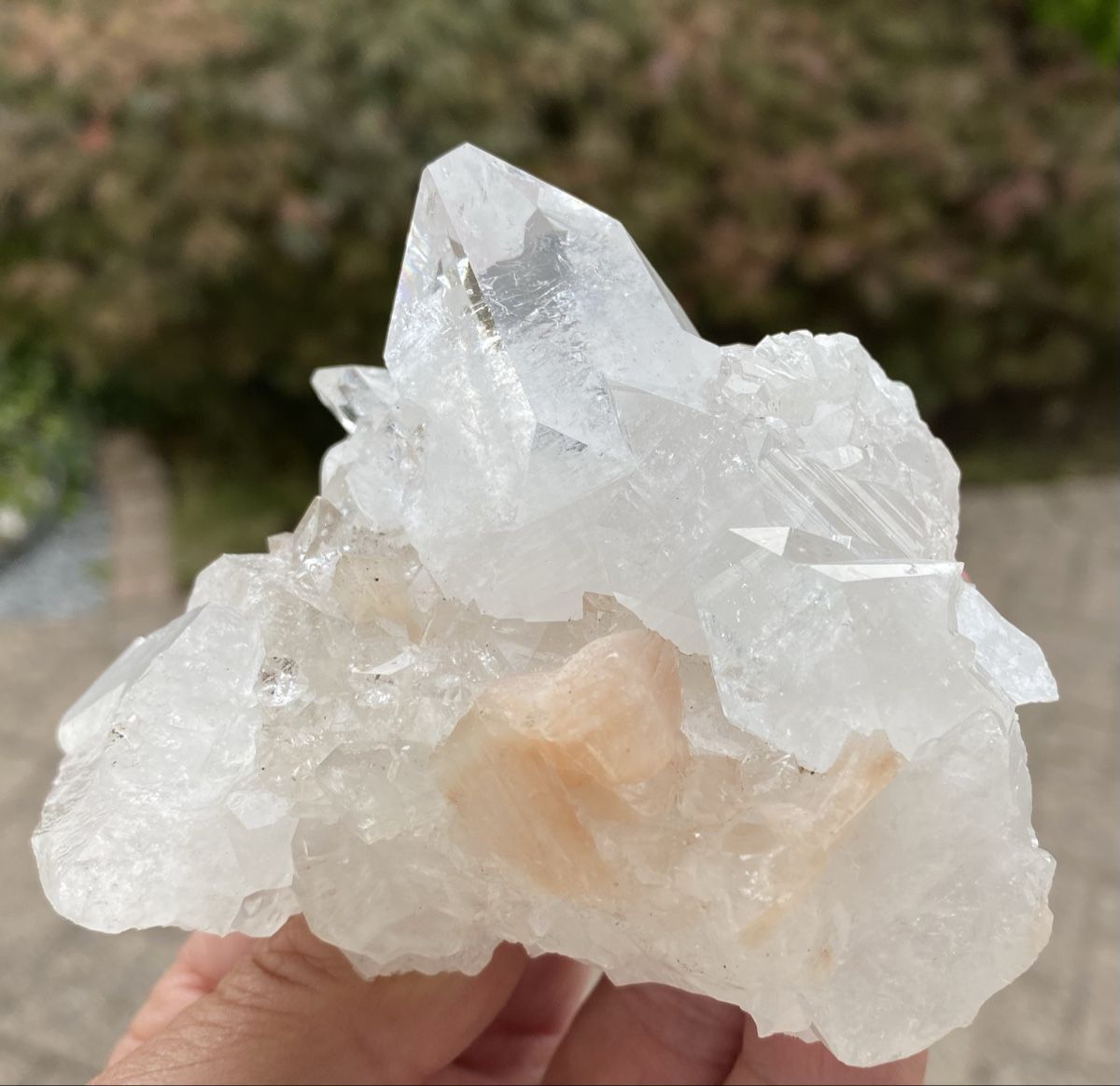 Minerali & Pietre curative: Schöner Apophyllit – Usato da Selzach venduto da 321compac 3