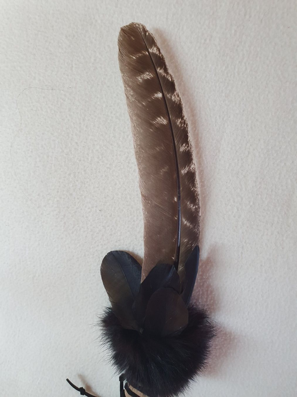 Il mondo degli animali: Truthahn-Räucherfeder - Räucherfächer, Räuchern, Ritualfeder – Nuovo e nell'imballaggio originale da Wermatswil venduto da welltouch 1