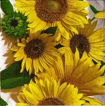 Tovaglioli: 2 Servietten viele Sonnenblume – Nuovo (secondo la descrizione) da Basel venduto da Happybaer