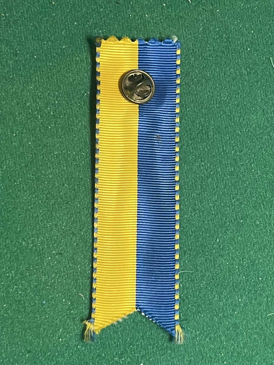 Placchette & Badge: FC Lignieres Fussball Pin – Usato da Itingen venduto da Bebbi6569 2