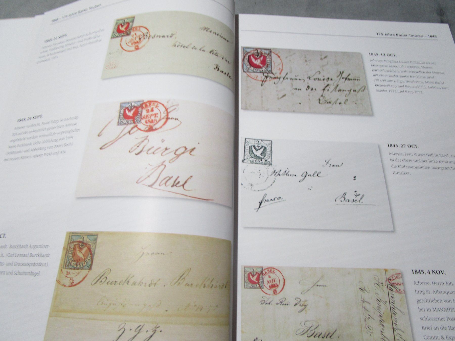 Libri: Fachbuch Basler Taube Historische Briefe  145 - 1852 – Nuovo e nell'imballaggio originale da Rupperswil venduto da Ema10 7