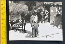 Heuwagen mit Pferd, Suchard Werbetafel/ Photo, s. Rückseite