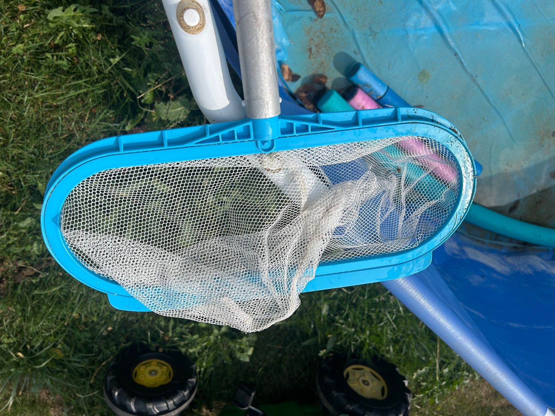 Intex Schwimmbad: Salzfilteranlage Pool – Gebraucht aus Aarwangen von familiejoerin 6