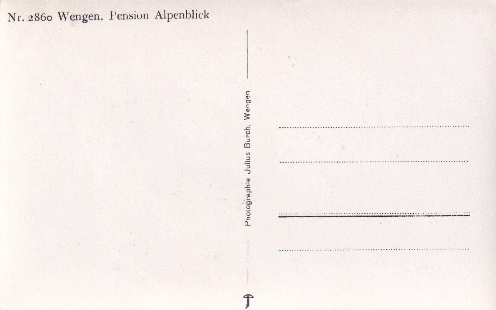 Cartoline postali: Wengen - Pension Alpenblick – Usato da Hombrechtikon venduto da Rudolf07 1