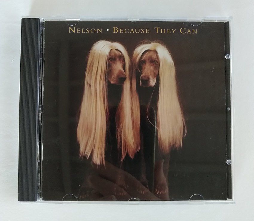 CD: CD Nelson - Because They Can (Hard Rock Duo) – Usato da Buchs ZH venduto da Bighusky