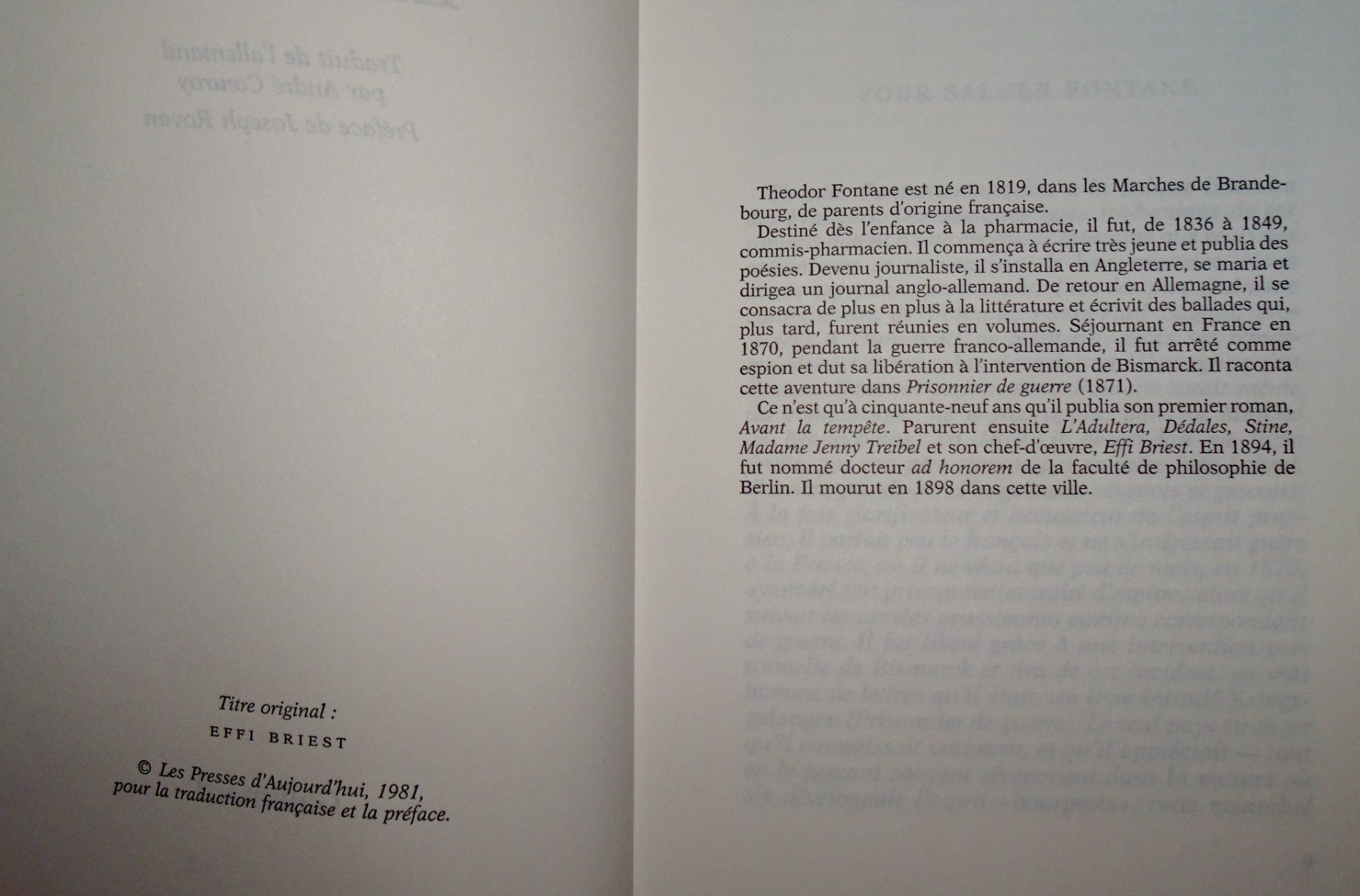 Libri: Effi Briest - Theodor Fontane – Usato da Châtelaine venduto da Gio54321 2