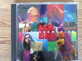 Mr. Big – Japandemonium / Japan CD