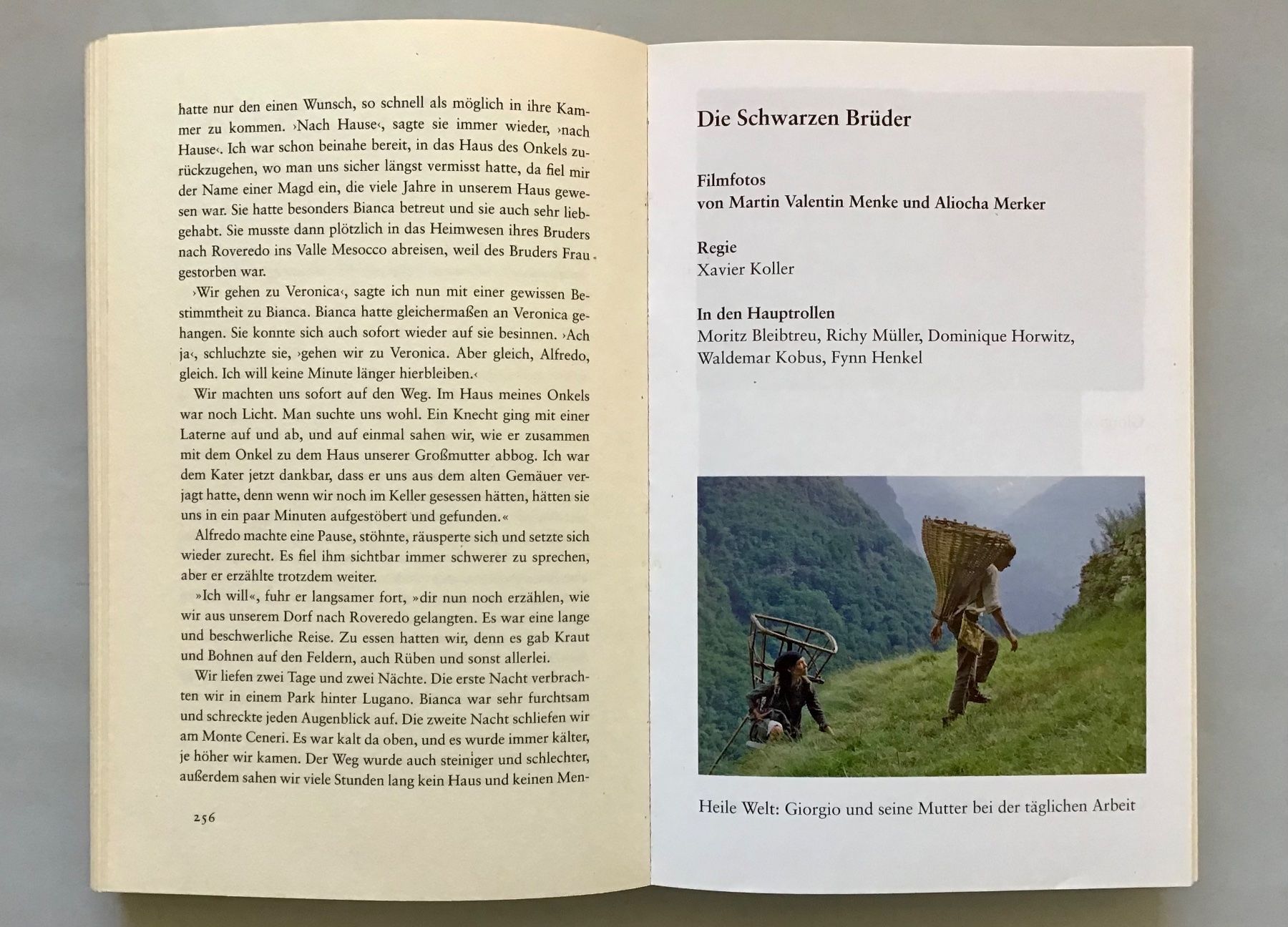 Libri: Lisa Tetzner: Die Schwarzen Brüder – Usato da Bubendorf venduto da Alpenheidi 8