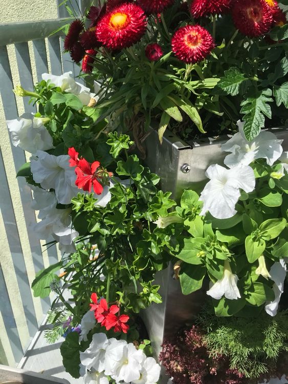 pflanztopf schmal Mobiler Pflanztopf XXL – Gardapura