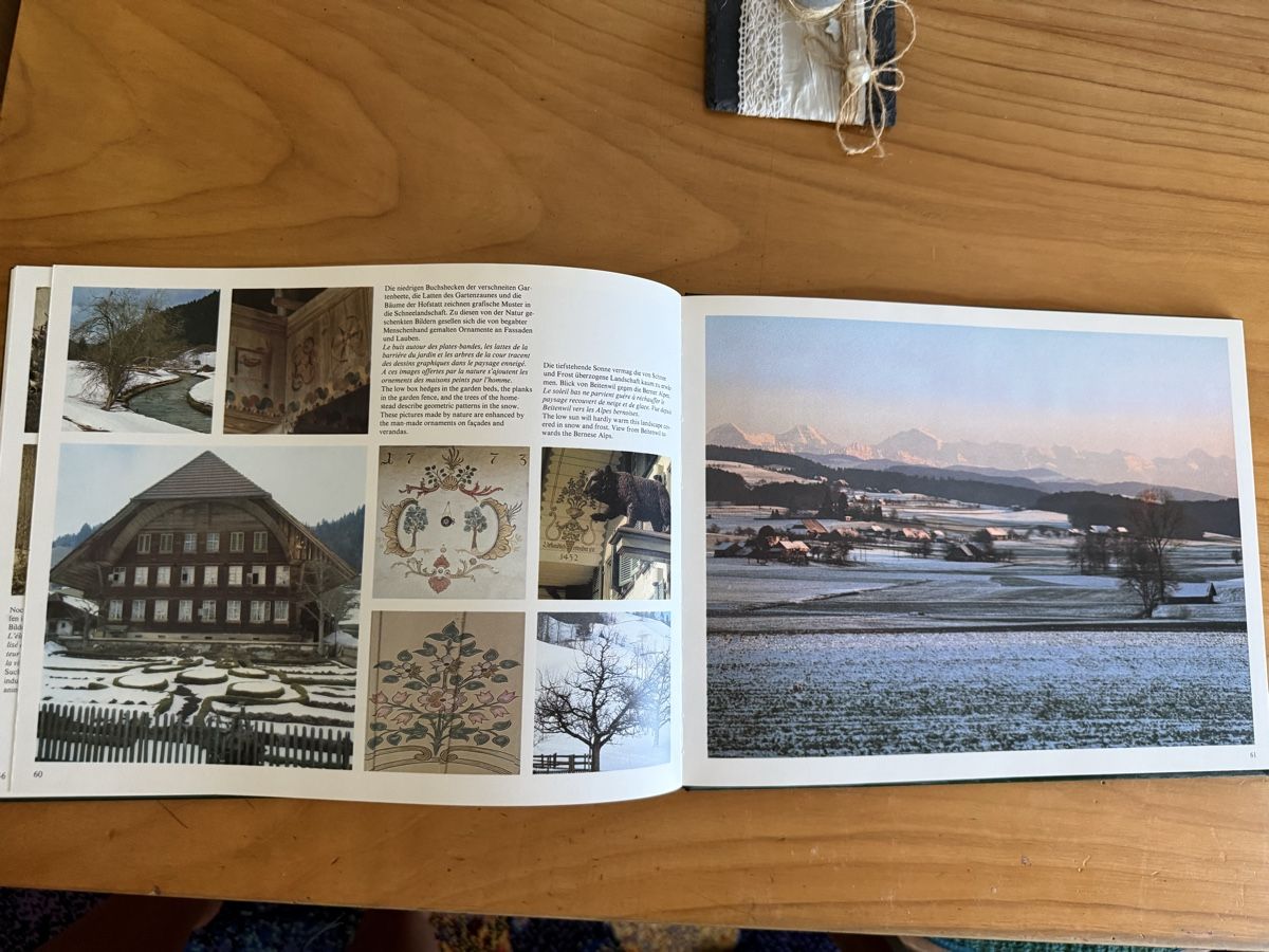Libri: Berner Bauerngaerten Buch  – Usato da Leissigen venduto da tahari 1