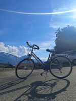 Damen City Bike