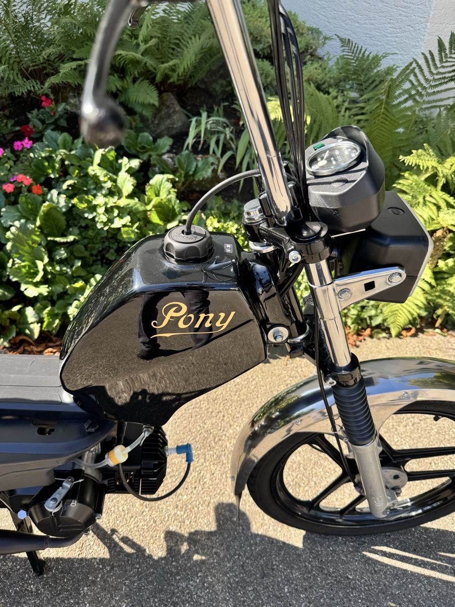 Pony Ciclomotori: Mofa Pony GTX UNIKAT  – Usato da Hedingen venduto da ari_wz2s 5