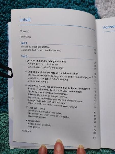 Libri: Alle Botschaften sind in Dir, Armin Bützberger – Usato da Niedergösgen venduto da Happy-7 2