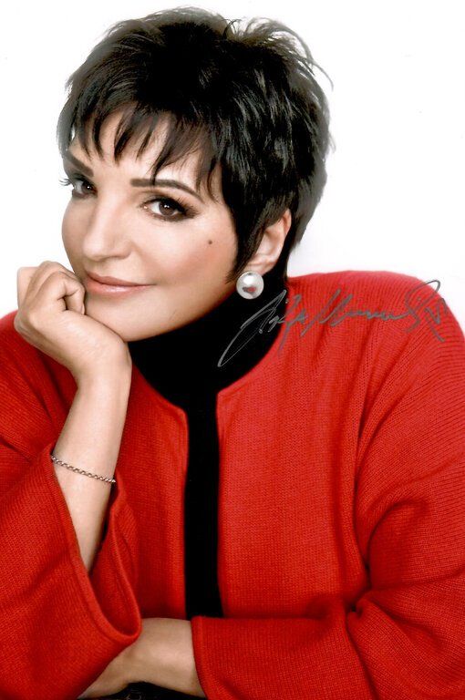 Autografi: Liza MINELLI / TOP AUTOGRAMM – Usato da Egg b. Zürich venduto da Dbunny