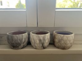 3 mini pots 