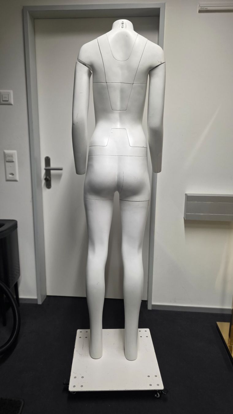Sonstige Dekorationen & Accessoires: Professionelle Ghost Mannequin Damenfigur – Gebraucht aus Wettingen von EllyJ 1