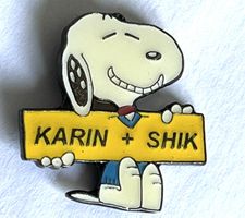 Pin Karin Shik Comics