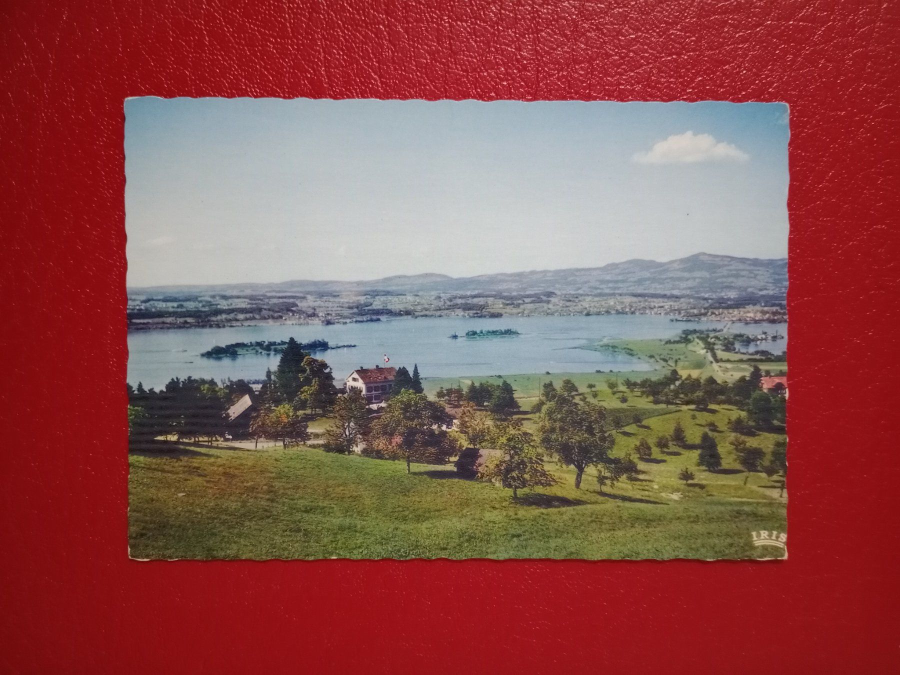Cartes postales: AK Ufenau mit Rapperswil 1970 – D'occasion à Küttigen par Melisch1000
