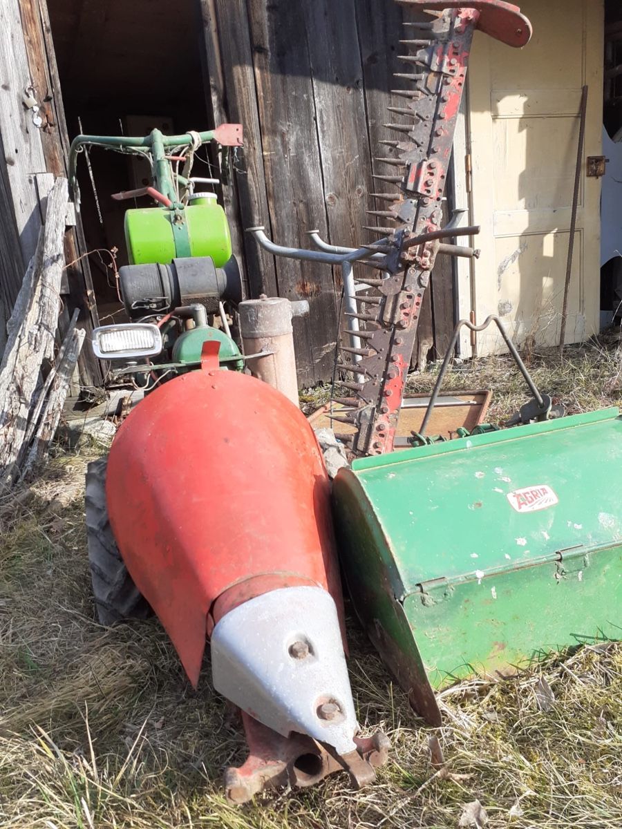 Agria Tutte le macchine: Machine pour jardin Agria – Difettoso da Sion venduto da Nelsonkatz 1