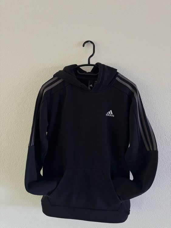 Adidas Maglioni & Felpe: Hoodie Adidas S – Usato da Fribourg venduto da morenopt