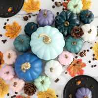 17 Stück Kürbis Herbst Deko Dekoration Draußen