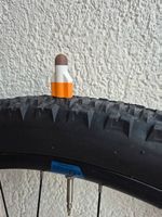 Glace Prestaventildeckel 1 Par