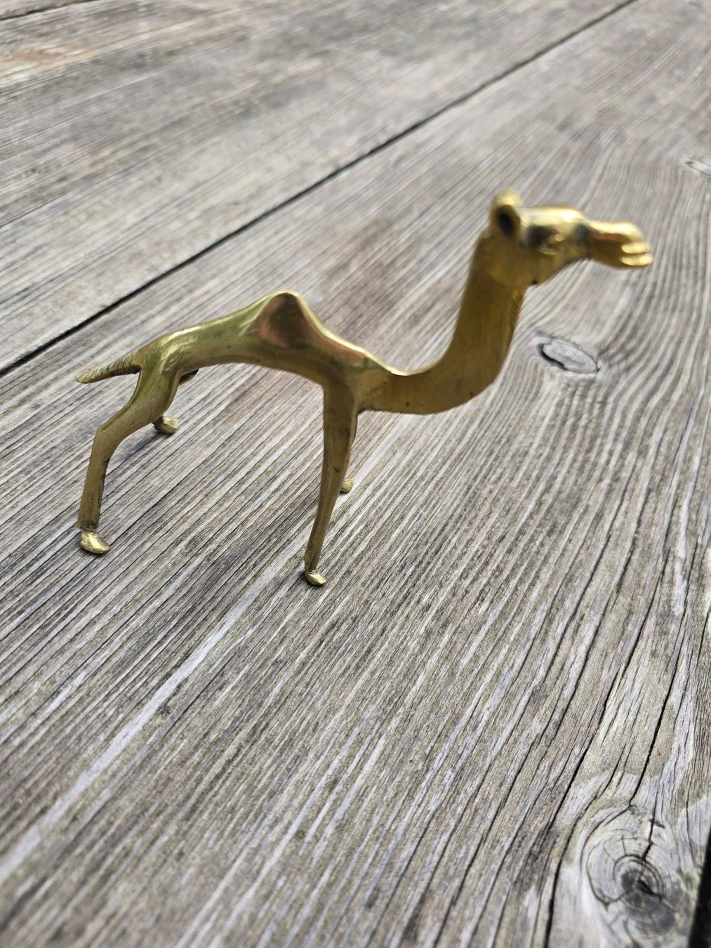 Statuette: Metall: Deko Kamel – Nuovo (secondo la descrizione) da Romanshorn venduto da Rachacha