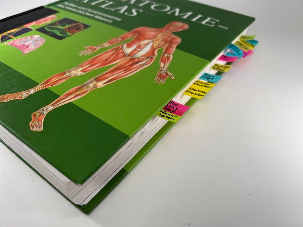 Libri: Dr. Tony Smith - Anatomieatlas – Difettoso da Häusernmoos venduto da Eselsohren 2