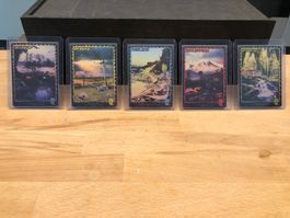 MTG Secret lair x Brain dead full art basic lands foil NM