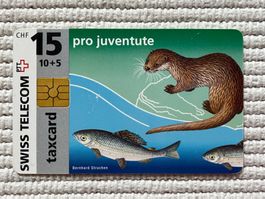 Swiss Telecom Taxcard CHF 15 pro Juventute 1996