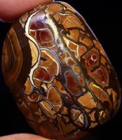 Australischer Koroit Roh Opal 78.00Cts.