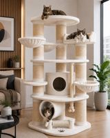 KATZENBAUM Noblesse, weiss