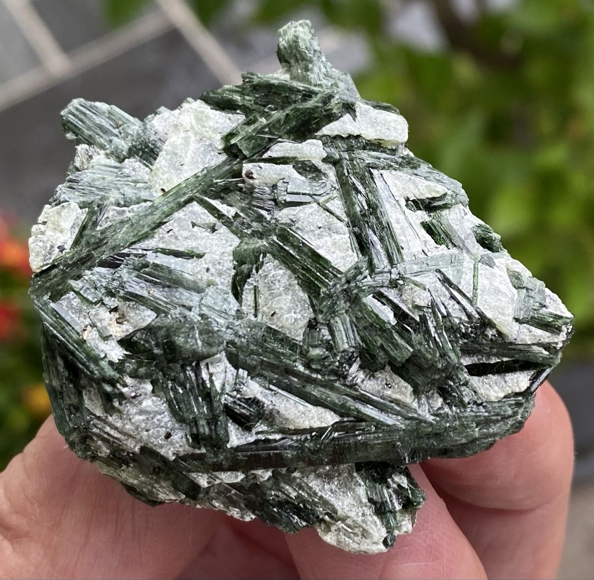 Mineralien & Heilsteine: Top Aktinolith  – Gebraucht aus Selzach von 321compac 1
