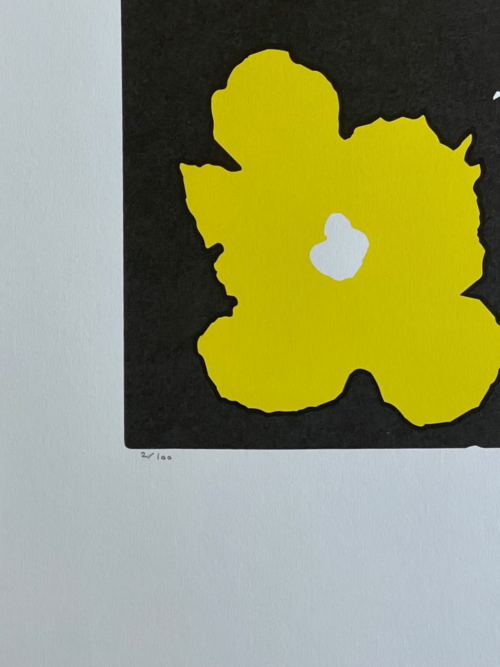 Foto & Immagini: Andy Warhol - Flowers 2/100 - Neu eingetroffen – Nuovo e nell'imballaggio originale da Adligenswil venduto da O_D_E_O_N 2