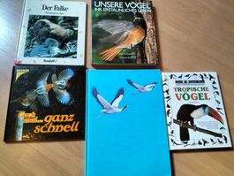 Sachbücher Vögel für Kinder