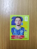 Panini WM 2026 Sticker - BIH 3