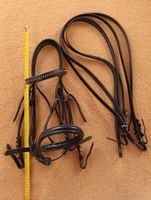 Dressur Kandaren Zaum Warmblut inkl. Gebiss