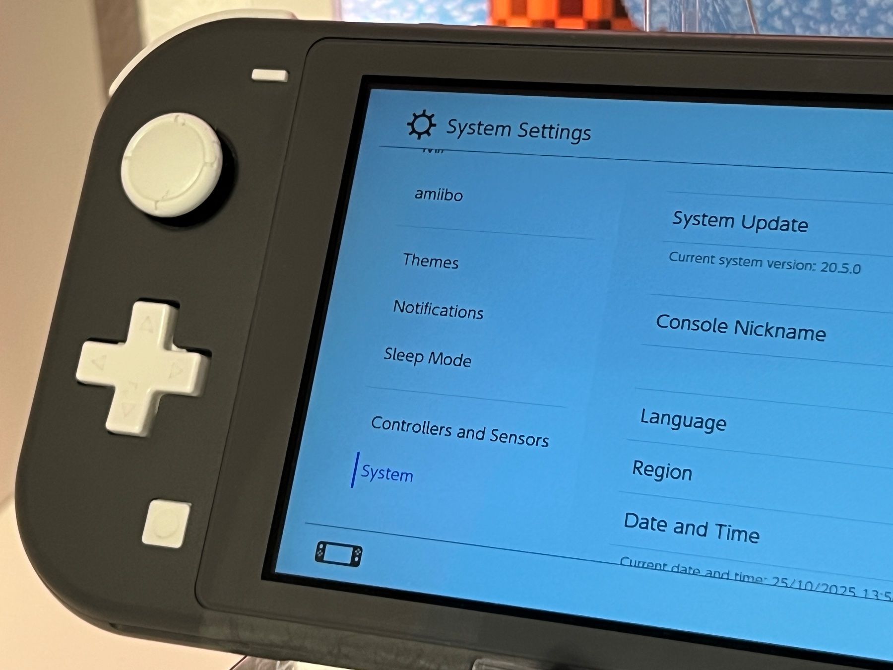 Nintendo Console: Switch Lite - Wie Neu – Usato da Zürich venduto da rg_swiss 2