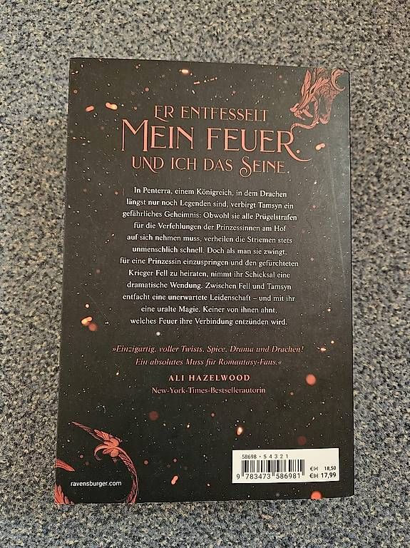 Bücher: A Fire in the Sky - Sophie Jordan – Neu (gemäss Beschreibung) aus Birrhard von pas_5sl2 1