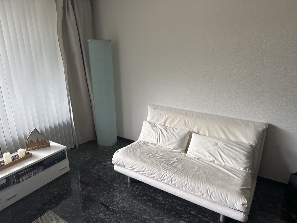 Divani: Ligne Roset Schlafsofa Multi – Usato da Lachen SZ venduto da amazonic 1