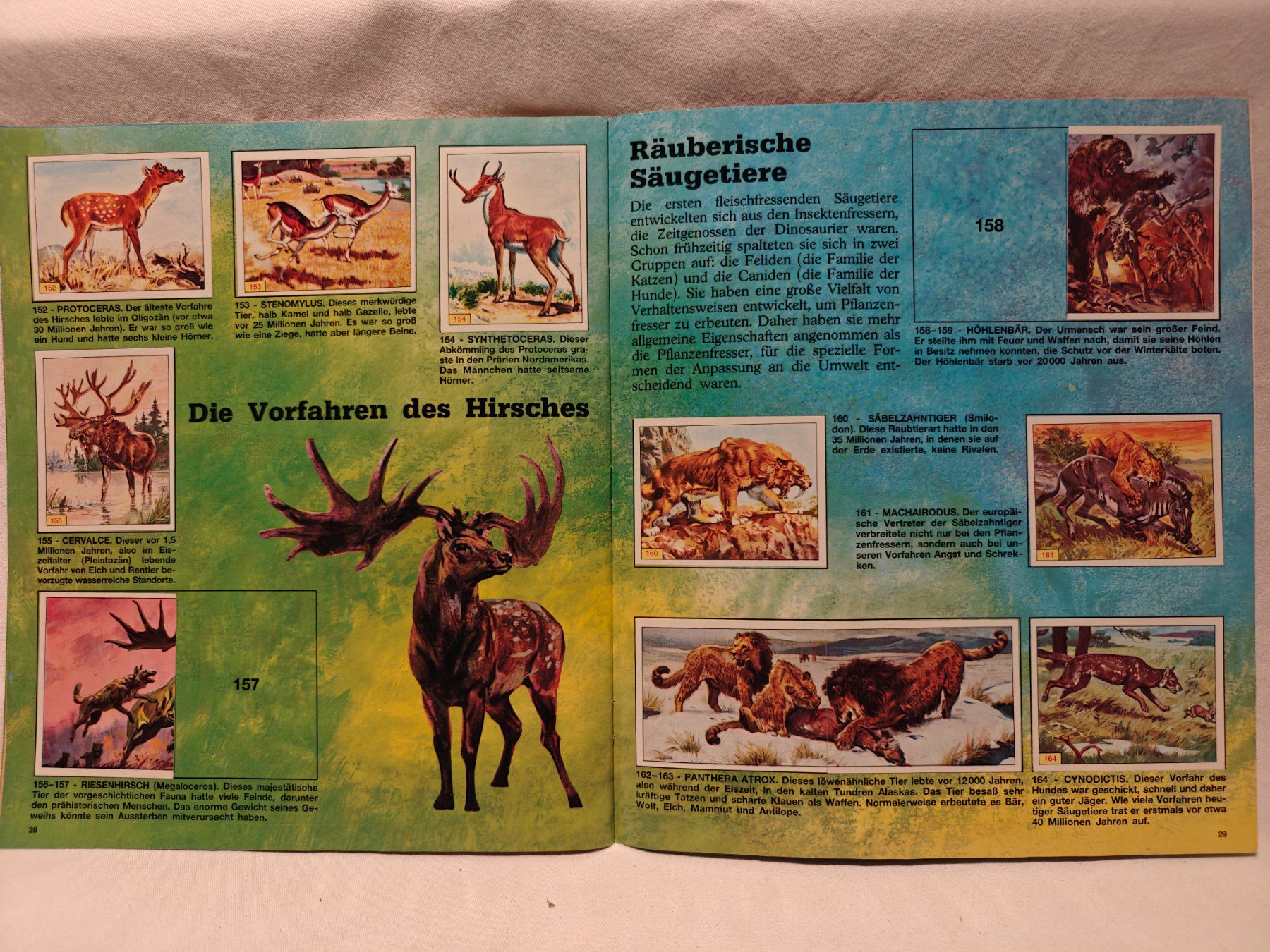 Panini Album: Tiere der Urzeit 1992 – Usato da Gutenswil venduto da Vulcano21 7