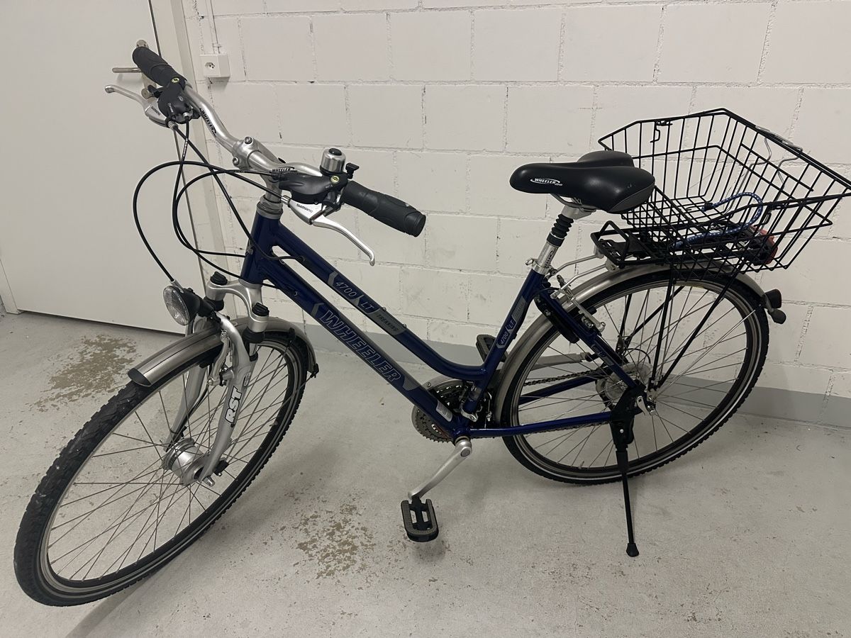 kinderrad 24 zoll Kinderfahrrad - MTB | Für Kinder von 9 bis 14 Jahren | Junge Kunststoff Colour:Matte Black / Prizm Torch & Prizm Iced vidaXL Fahrradanhänger Hunde Rot