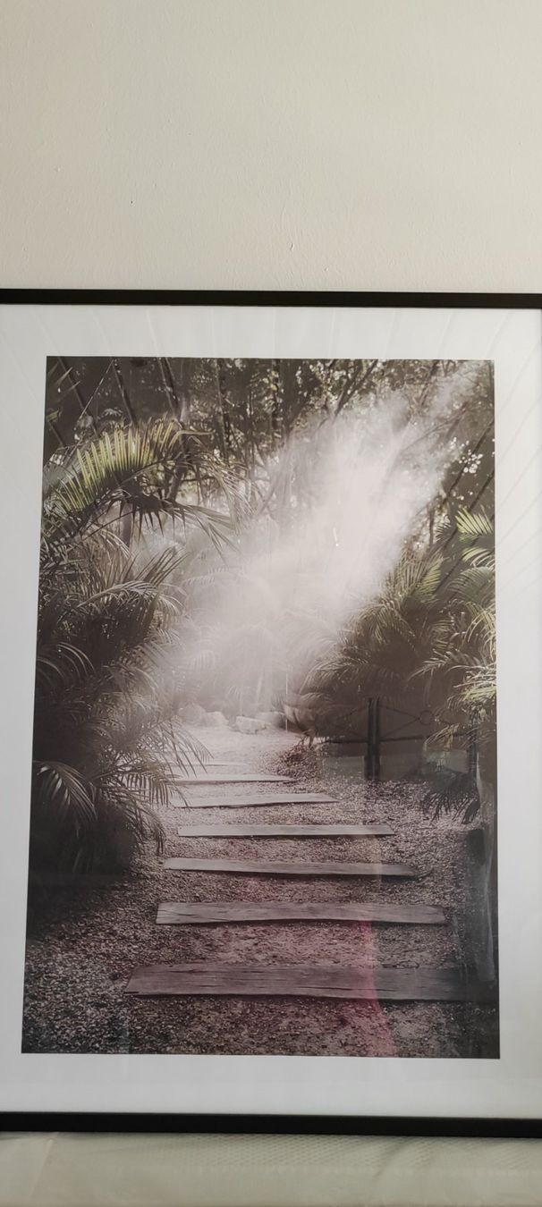Poster & Bilder: Gerahmtes Bild Dschungelpfad mit Nebel – Gebraucht aus Feusisberg von Sindbad3